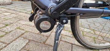 Bikkel ibee  beschikbaar voor biedingen