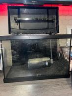 Hele mooie aquarium, Dieren en Toebehoren, Vis