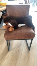 Hond groot, Ophalen of Verzenden, Nieuw, Hond