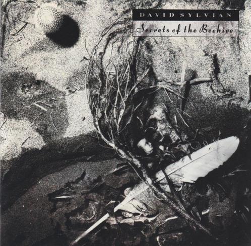 David Sylvian, Cd's en Dvd's, Cd's | Rock, Gebruikt, Singer-songwriter, Ophalen of Verzenden