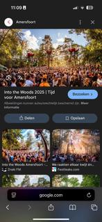 INTO THE WOODS Amersfoort (VRIJDAG), Tickets en Kaartjes, Evenementen en Festivals, Eén persoon