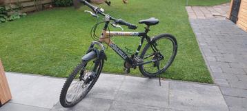 Gazelle mountainbike 26 inch beschikbaar voor biedingen