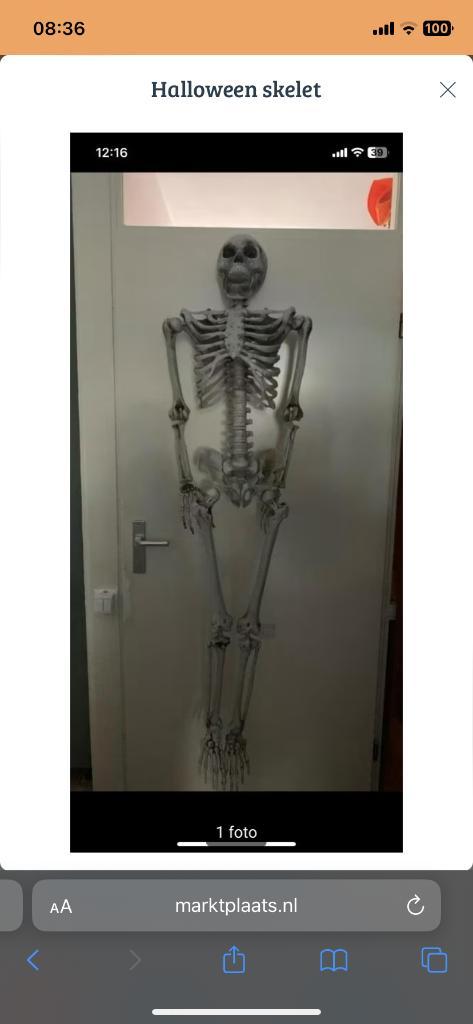 Halloween skelet 150 cm, Hobby en Vrije tijd, Feestartikelen, Nieuw, Halloween of Griezel, Ophalen of Verzenden