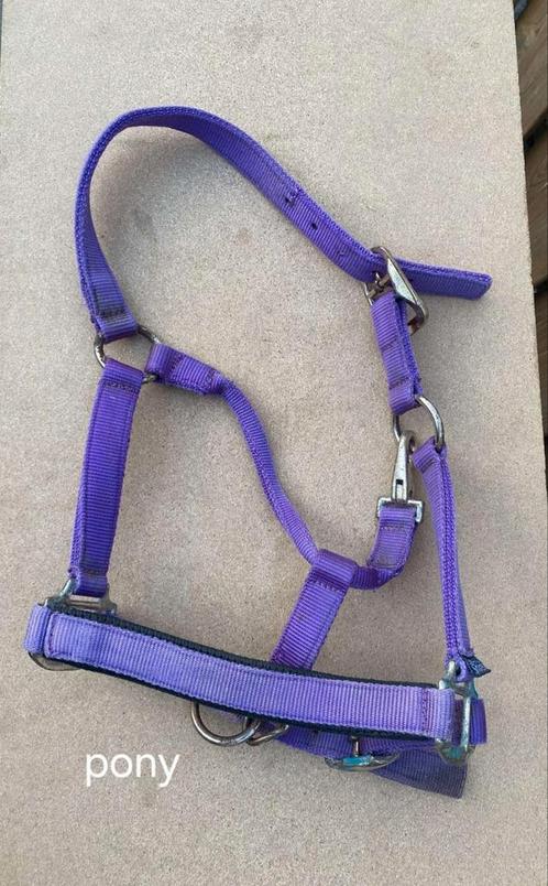 HALSTER maat Pony Paars, Dieren en Toebehoren, Paarden en Pony's | Hoofdstellen en Tuigage, Zo goed als nieuw, Overige soorten