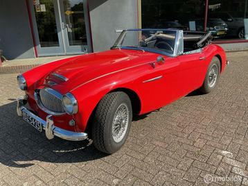 Austin Healey MK II HB J7L beschikbaar voor biedingen