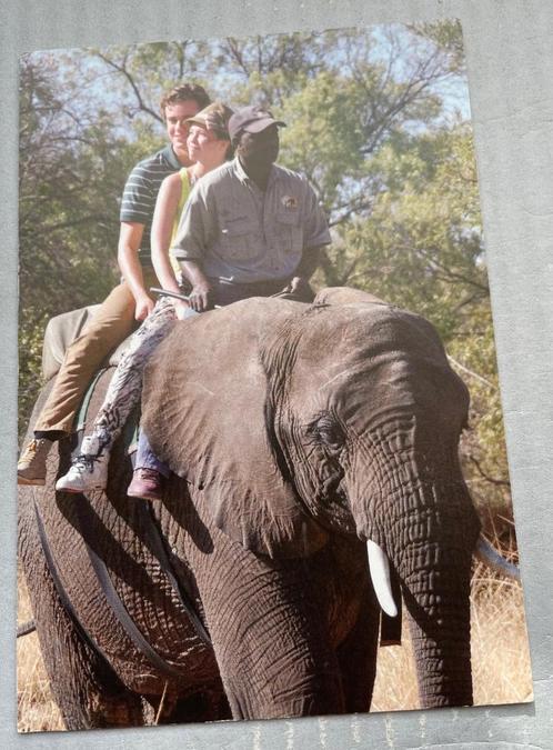 Goede Tijden, Slechte Tijden ,Tim en Rikkie op een olifant., Verzamelen, Ansichtkaarten | Themakaarten, 1960 tot 1980, Sterren en Beroemdheden