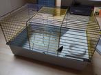 cavia kooi, Kooi, Minder dan 75 cm, Zo goed als nieuw, Cavia