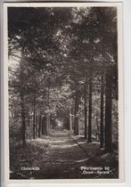 423 Oisterwijk 1955 Zwartlaantje bij Groot Speyck 1955 B85, Verzenden, 1940 tot 1960, Gelopen, Noord-Brabant
