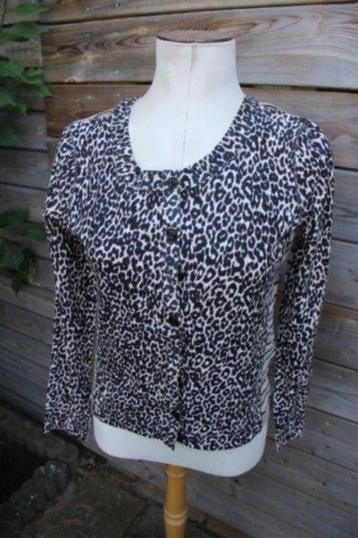 Vestje leopard/ streep Marccain mt N4 (M/40)  Vaste prijs beschikbaar voor biedingen