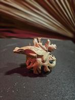 Hagedisbeeld - Handgemaakt Indonesisch Houtsnijwerk, Antiek en Kunst, Ophalen of Verzenden