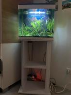 Superfish aquarium panorama wit 50 l, Ophalen of Verzenden, Zo goed als nieuw, Leeg aquarium