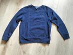 Polo Ralph Lauren maat 10-12, Ophalen of Verzenden, Zo goed als nieuw, Jongen, Trui of Vest