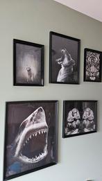 Dieren posters  ingelijst. Haai, wolf, tijger, leeuw, aap, Ophalen, Zo goed als nieuw, Hout, Minder dan 50 cm