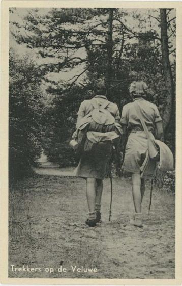 Trekkers op de Veluwe. (wandelaars) beschikbaar voor biedingen