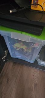 Kompleet  aquarium, Dieren en Toebehoren, Vissen | Aquaria en Toebehoren, Ophalen, Zo goed als nieuw, Leeg aquarium