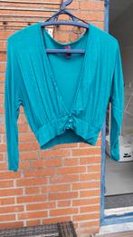 Bolero vestje, Ophalen of Verzenden, Zo goed als nieuw, Maat 34 (XS) of kleiner, Groen