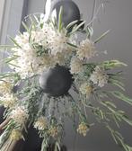 Hoya Linearis, Huis en Inrichting, Kamerplanten, Ophalen of Verzenden, Overige soorten, Minder dan 100 cm