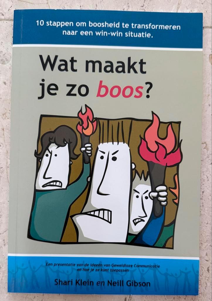 Wat maakt je zo boos? - Klein & Gibson, Boeken, Psychologie, Gelezen, Overige onderwerpen, Ophalen of Verzenden
