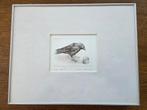 Kleine droge naald ets van een Kraai, druk 22/30, Antiek en Kunst, Ophalen of Verzenden