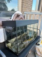 Juwel aquarium, Dieren en Toebehoren, Ophalen, Zo goed als nieuw, Leeg aquarium
