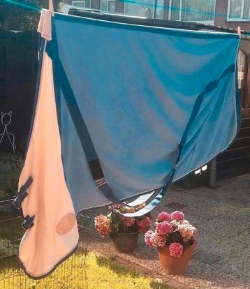 4 dekjes 2 dekens tekst Nouveau  beschikbaar voor biedingen