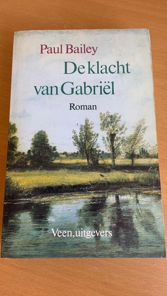 De klachten van gabriël - Paul Bailey, Ophalen of Verzenden, Zo goed als nieuw