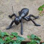 Mooie grote Mier, Mieren, bruin gietijzer, Ophalen of Verzenden, Nieuw, Metaal, Dierenbeeld