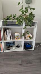 IKEA VIHALS Kast, Huis en Inrichting, Ophalen, Gebruikt, 25 tot 50 cm