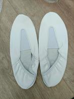 Papillon pa1630 wit dans schoen turnschoen gymnastics, Sport en Fitness, Turnen, Wit, Nieuw, Maat 36 t/m 42, Ophalen of Verzenden