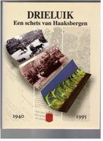Drieluik. Een schets van. Haaksbergen. 1940.- 1995, Boeken, Geschiedenis | Stad en Regio, Ophalen of Verzenden, Zo goed als nieuw