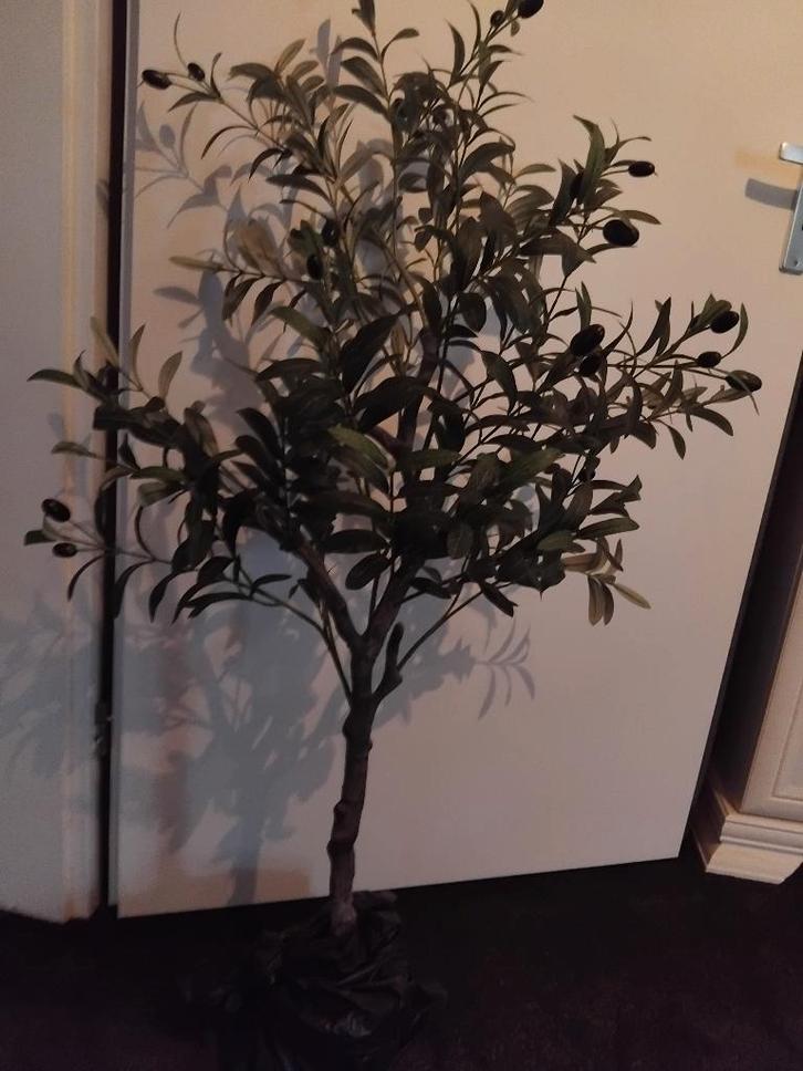 Mooi kunst olijfboompje, Tuin en Terras, Planten | Bomen, Overige soorten, 100 tot 250 cm, Volle zon, In pot, Ophalen of Verzenden