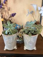 Des pots vaasjes/  mini cactus/vetplantjes/mini orchidee, Huis en Inrichting, Woonaccessoires | Vazen, Ophalen, Aardewerk of Porselein