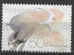 Nederland 1982 - Yvert 1179 - Waddenzee (ST), Postzegels en Munten, Postzegels | Nederland, Ophalen, Gestempeld