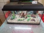 complete juwel primolux 60 led met inboedel, Ophalen, Gebruikt, Leeg aquarium