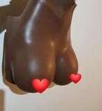 Borsten breastplate crossdresser carnaval travestie, Verzenden, Zo goed als nieuw, Carnaval