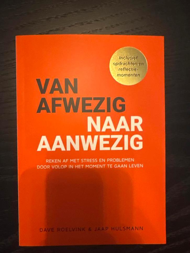 Van Afwezig naar Aanwezig - Roelvink & Hulsmann, Boeken, Psychologie, Zo goed als nieuw, Overige onderwerpen, Ophalen of Verzenden