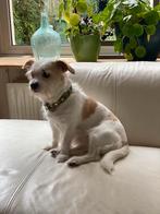 Oppas aangeboden, Diensten en Vakmensen, Particuliere oppas
