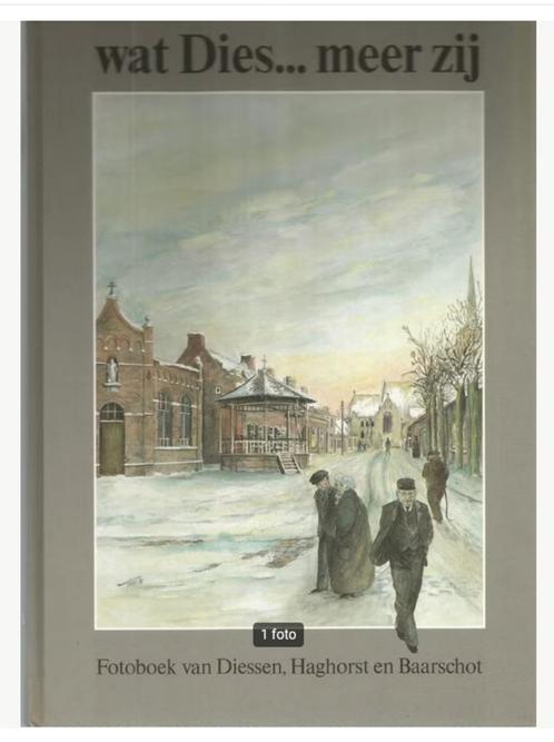 Wat Dies ...meer zij - Guus de Vries, Ad van Doormaal, Boeken, Geschiedenis | Stad en Regio, Zo goed als nieuw, 20e eeuw of later