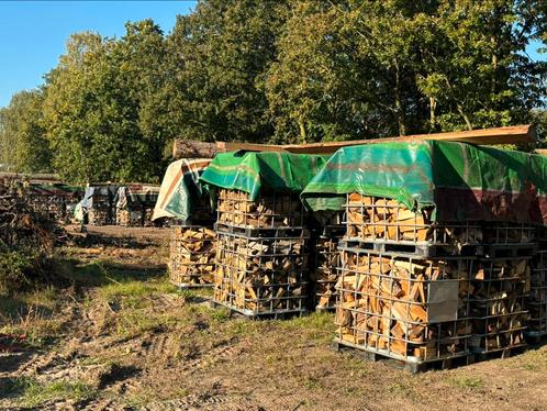 Populieren haardhout kachelhout, Tuin en Terras, Haardhout, Blokken, 6 m³ of meer, Ophalen of Verzenden