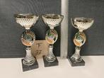 Trofeeën/wedstrijdbekers/sportprijzen/bokalen, set 27, Ophalen of Verzenden, Gebruikt