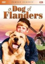 A Dog of Flanders, Alle leeftijden, Ophalen of Verzenden, Zo goed als nieuw