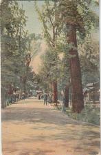 Amsterdam Artis 1911 papegaaienlaantje, Verzamelen, Verzenden, Voor 1920, Gelopen, Noord-Holland