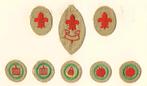 scouting Verkenners installatie, Vaardigheid/Klasse insignes, Verzenden, Gebruikt, Embleem, Speld of Insigne