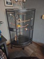 Keddoc hoekkooi, Dieren en Toebehoren