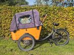 Zeer nette Qivelo Curve DR7 elektrische bakfiets, Ophalen, Zo goed als nieuw, 4 kinderen of meer