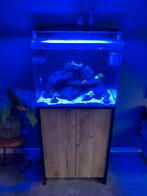Blue Marine 120 liter compleet met toebehoren, Dieren en Toebehoren, Vissen | Aquaria en Toebehoren, Ophalen, Zo goed als nieuw