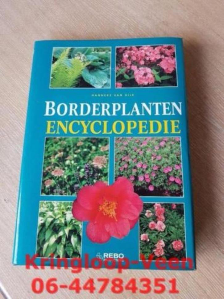 Hanneke van Dijk - Borderplanten Encyclopedie, Boeken, Overige Boeken, Zo goed als nieuw, Ophalen of Verzenden