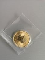 Canadian Gouden Maple leaf 1/2oz 2022, Postzegels en Munten, Munten | Amerika, Ophalen, Noord-Amerika