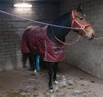 Br staldeken 195. 180 gram, Ophalen of Verzenden, Zo goed als nieuw