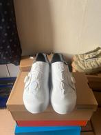Shimano RC300 White, Size 49 - NEW, Fietsen en Brommers, Fietsaccessoires | Fietskleding, Ophalen of Verzenden, Nieuw, Heren, Schoenen